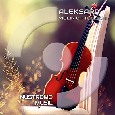 Violin of the Soul
