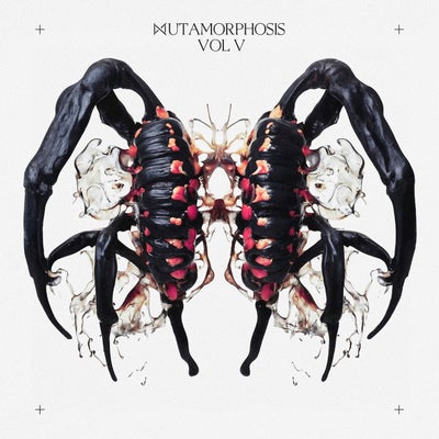 MUTAMORPHOSIS, Vol. 5