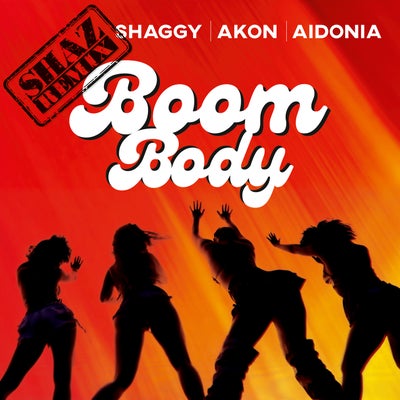Boom Body (feat. Akon & Aidonia)