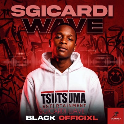 Sgicardi Wave