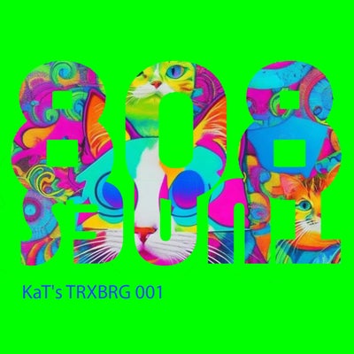KaT's TRXBRG 001