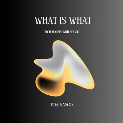 What Is What (Tech House Latin House)