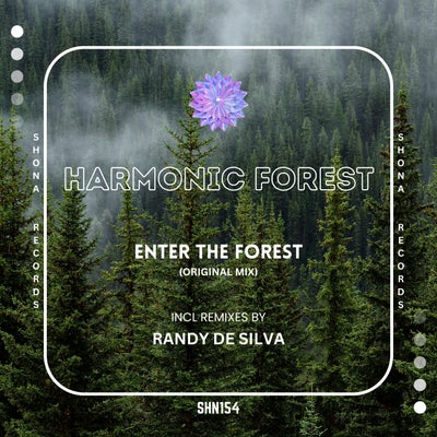 Enter the Forest