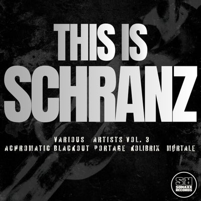 This Is Schranz, Vol. 3