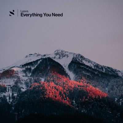 Everything You Need