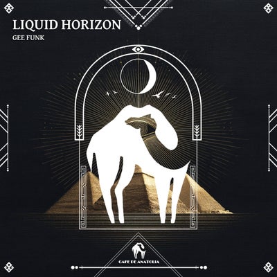 Liquid Horizon