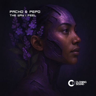 The Way I Feel - Extended Mix