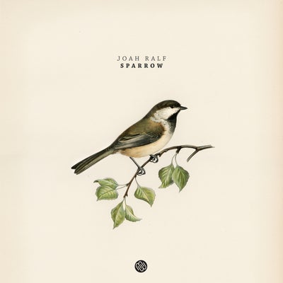 Sparrow