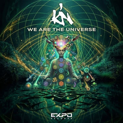 We Are the Universe