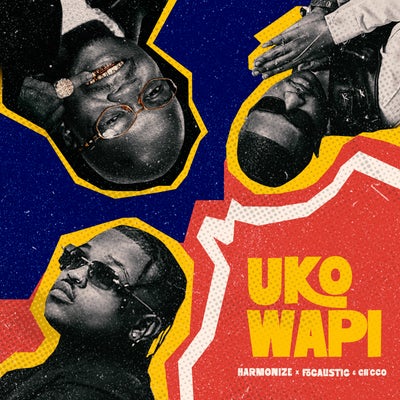 Uko Wapi