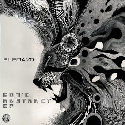 Sonic Abstract EP