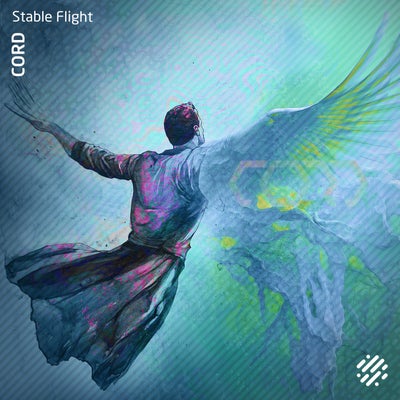 Stable Flight