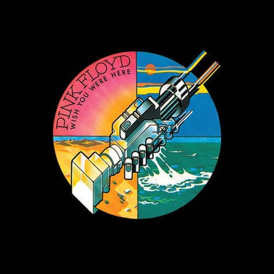Shine On You Crazy Diamond, Pts. 1-6