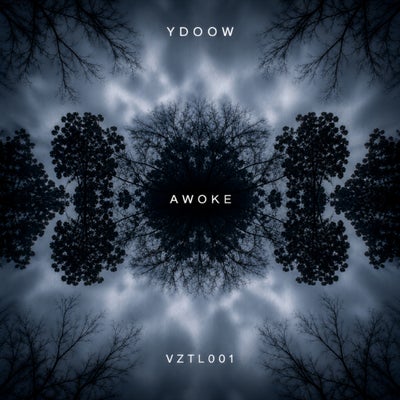 Vztl001- Awoke