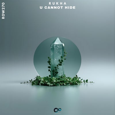 U Cannot Hide