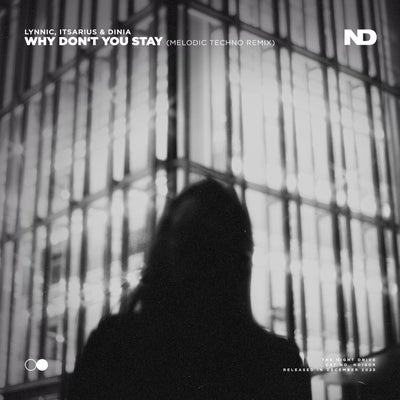 Why Don't You Stay (Melodic Techno Remix)