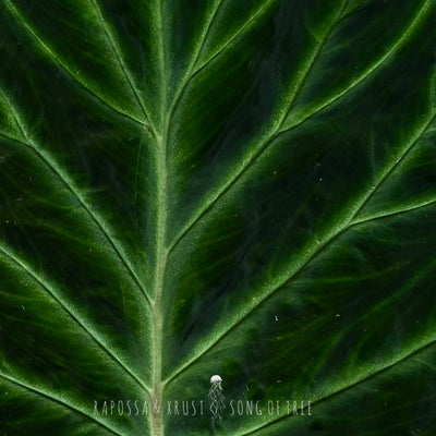 Song of Tree