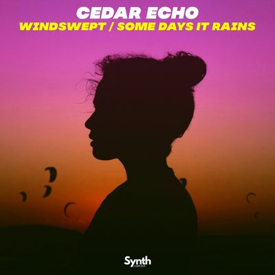 Windswept / Some Days It Rains