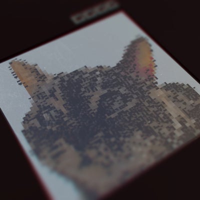 LIVE PROJECT