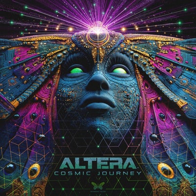 Cosmic Journey