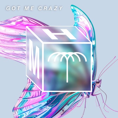 Got Me Crazy (Extended Mix)