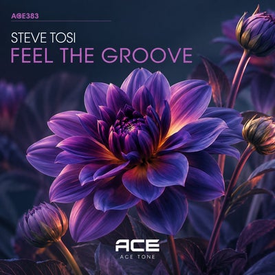 Feel The Groove