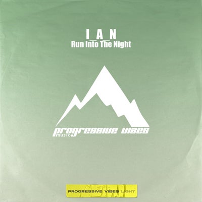 Run Into The Night