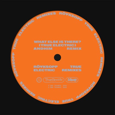 What Else Is There? (feat. Fever Ray)