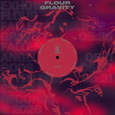 Gravity