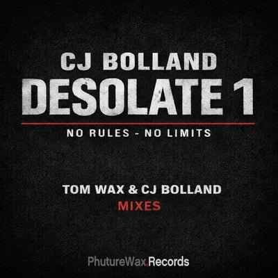 Desolate 1 (Remixes)