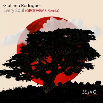 Every Soul (GROOVEM8 Remix)