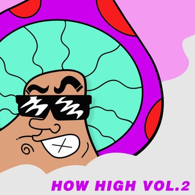 How High Vol.2