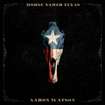 Horse Named Texas