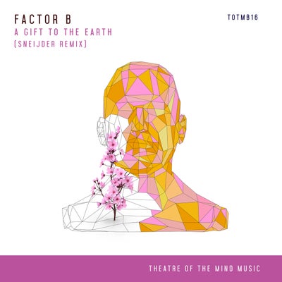 A Gift To The Earth (Sneijder Remix)