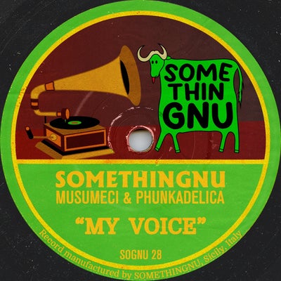 My Voice