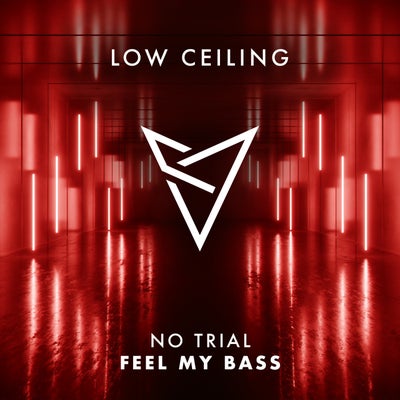 FEEL MY BASS