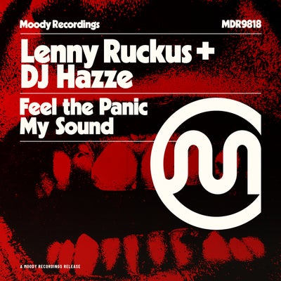 Feel The Panic / My Sound