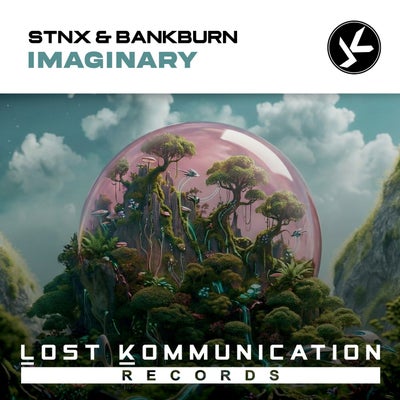 Imaginary