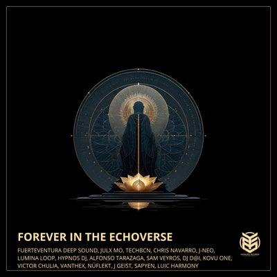 Forever in the Echoverse