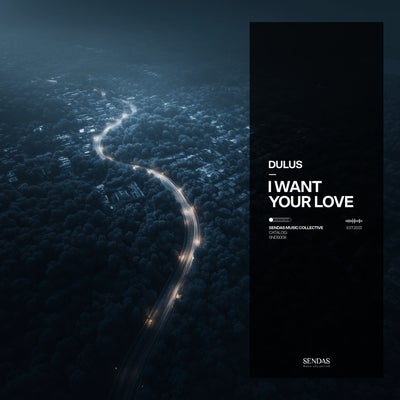 I Want Your Love