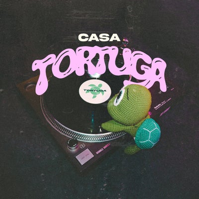 Casa Tortuga