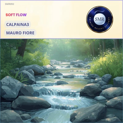 Soft Flow