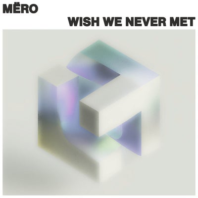 Wish We Never Met