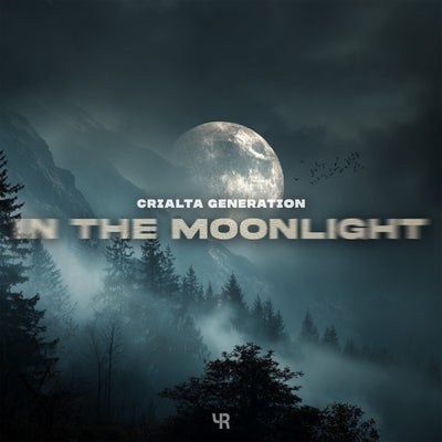 In The Moonlight