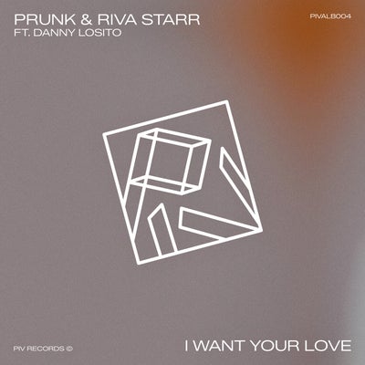 I Want Your Love 