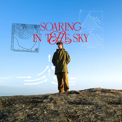Soaring In The Sky