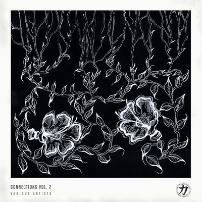 Connections Vol. 2