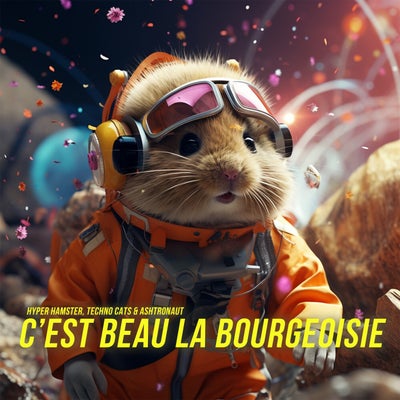 C'est Beau La Bourgeoisie