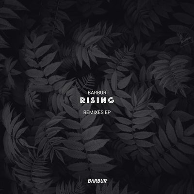 Rising Remixes EP