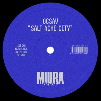 Salt Ache City